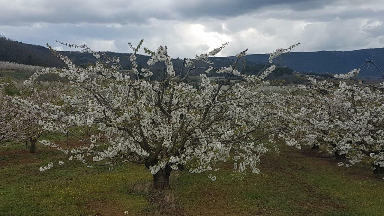 Apartament Entre Ble Et Lavande Bonnieux Zewnętrze zdjęcie